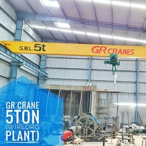 Eot Crane manufacture in ludhiana